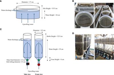 Nursery upweller type has minimal impact on subsequent grow-out of Eastern oysters (Crassostrea virginica)